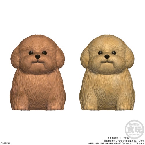 もっちりころりん♪おいぬ